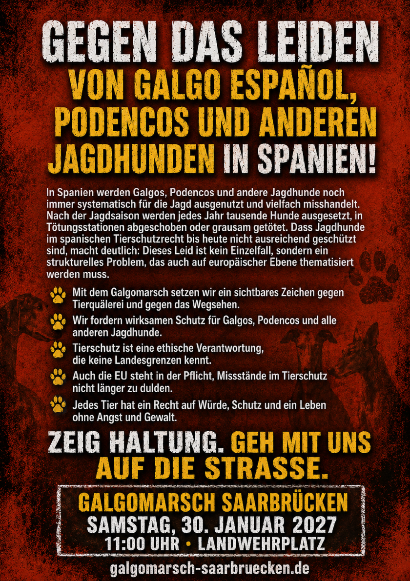 Offizielle Rückseite des Galgomarsch-Saarbrücken-Flyers 2027
