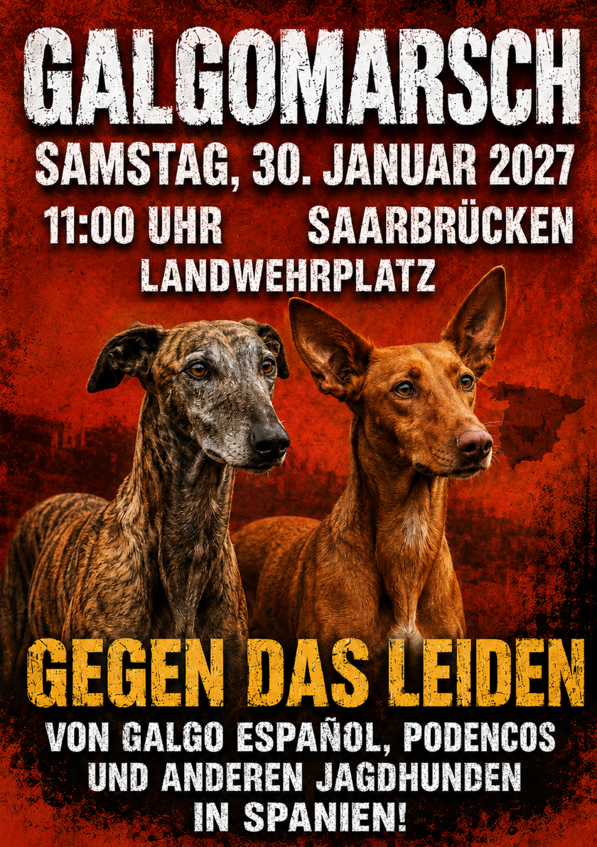 Offizielle Vorderseite des Galgomarsch-Saarbrücken-Flyers 2027