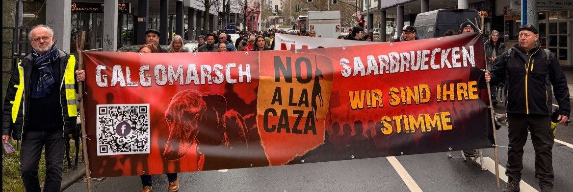 Teilnehmende des Galgomarschs Saarbrücken tragen das Protestbanner No a la caza – Wir sind ihre Stimme