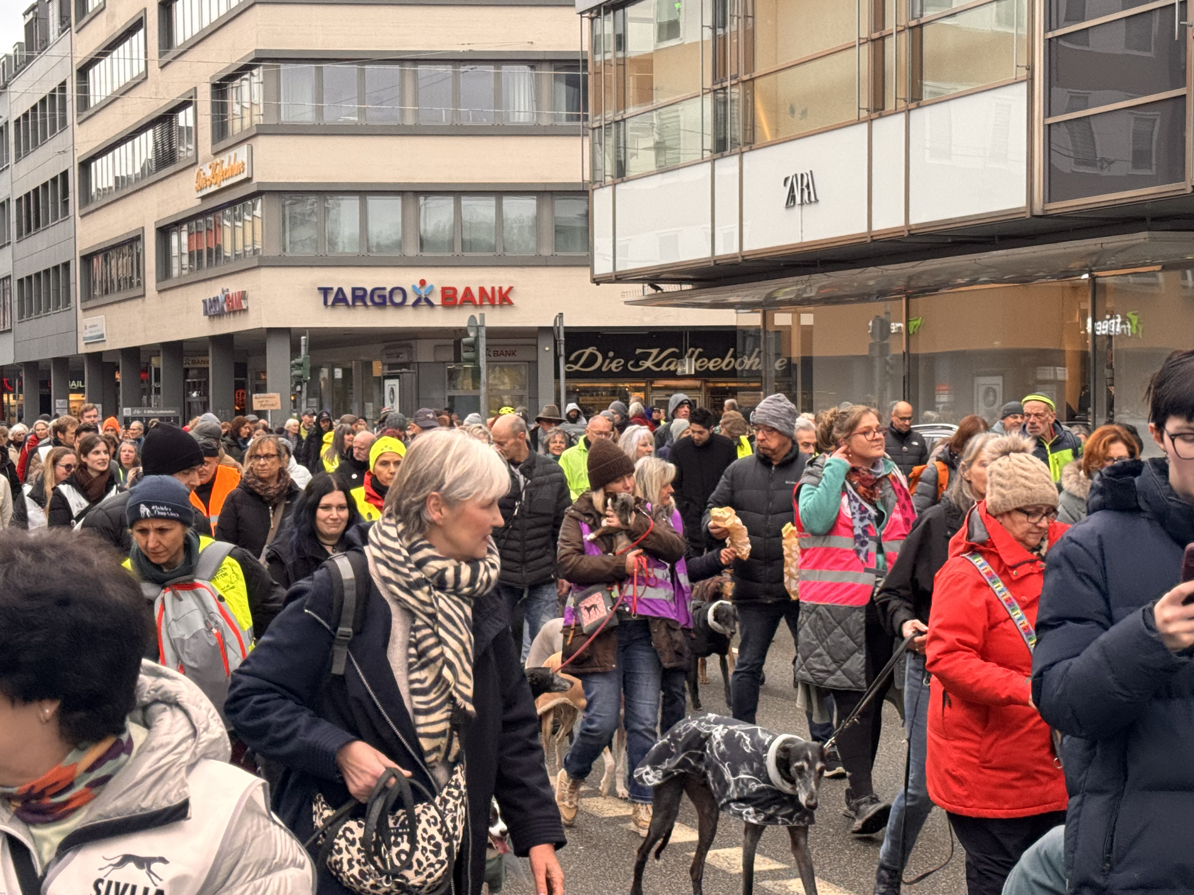 Impressionen des Galgomarsches 2026