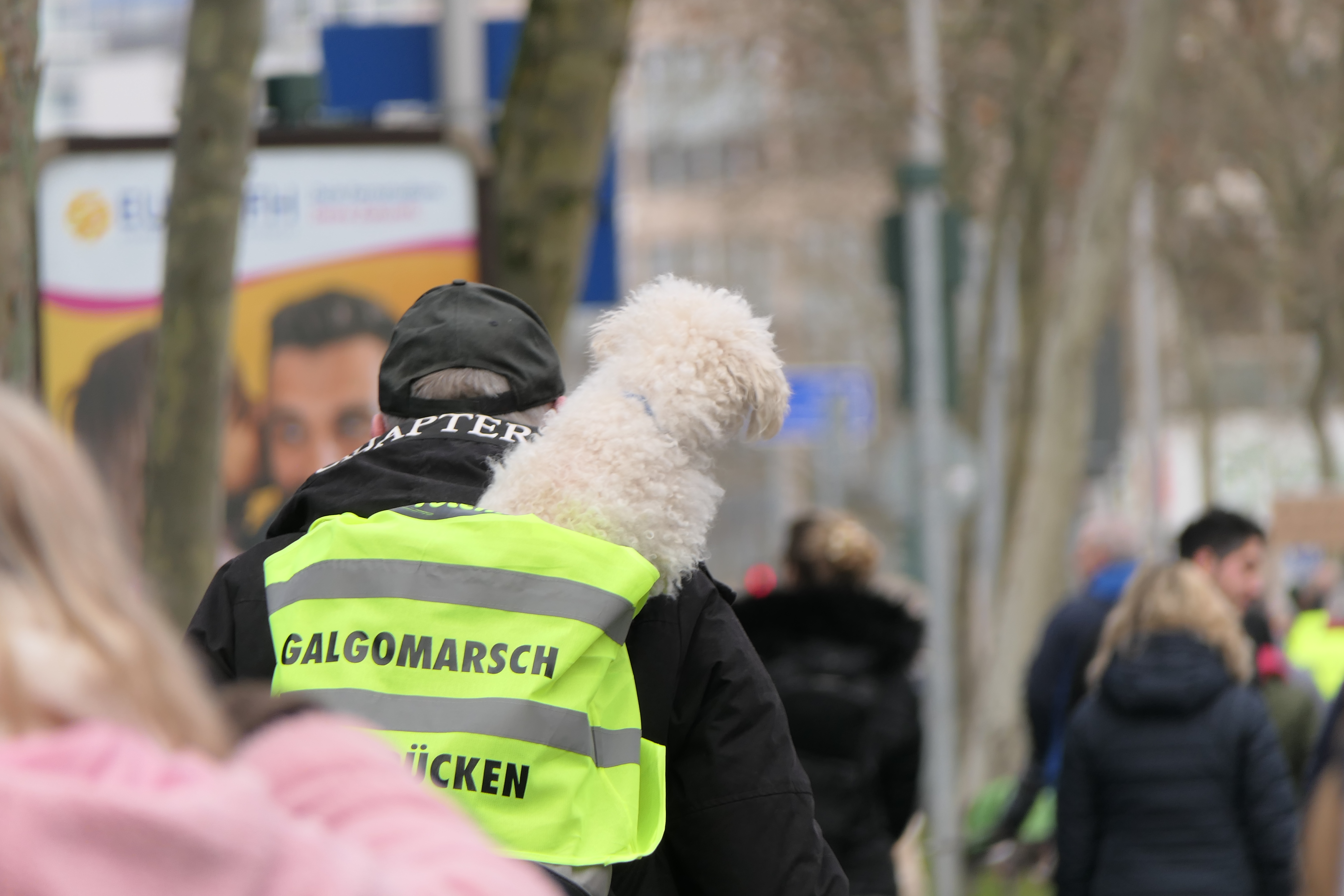 aufgenommen und veröffentlicht mit freundlicher Genehmigung von Martin Bambach - Erlebnis-Wandern-Saarland