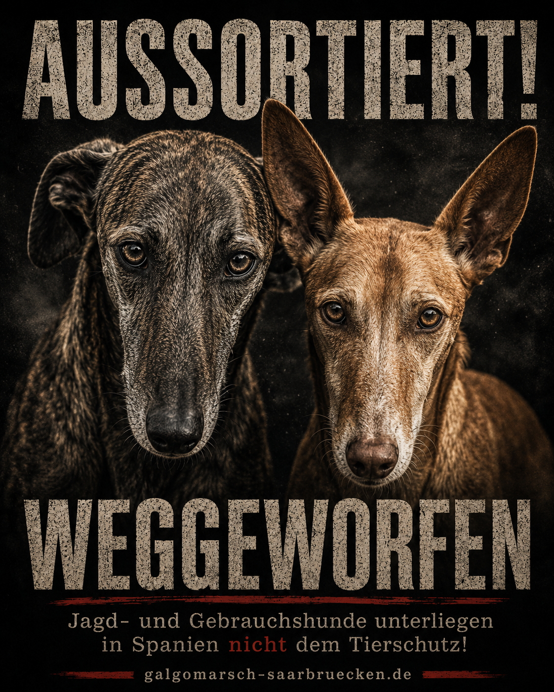 Tierschutz-Kampagne 2027
