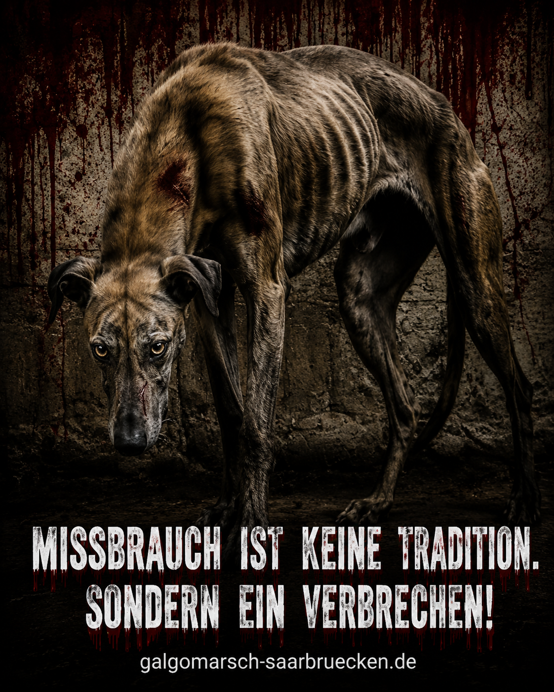 Tierschutz-Kampagne 2027
