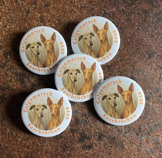 Aktionsbutton - 2026